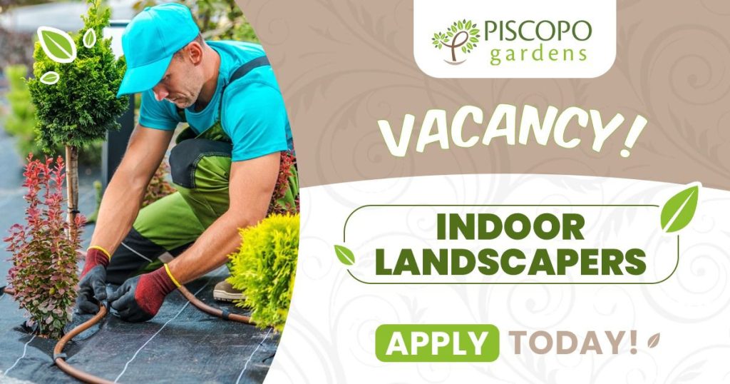 Piscopo Gardens - Indoor Landscaper