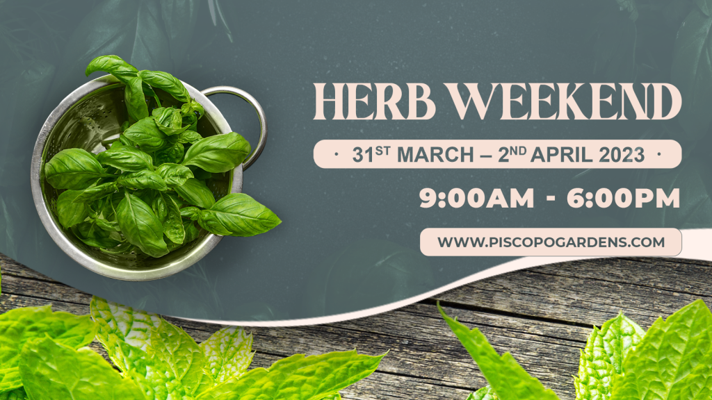 Piscopo Gardens - Herb Weekend 2023