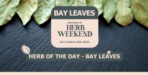 Piscopo Gardens - Herb Weekend 2023 - Herb of the day - Bay Leaves - www.piscopogardens.com