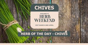 Piscopo Gardens - Herb Weekend 2023 - Chives