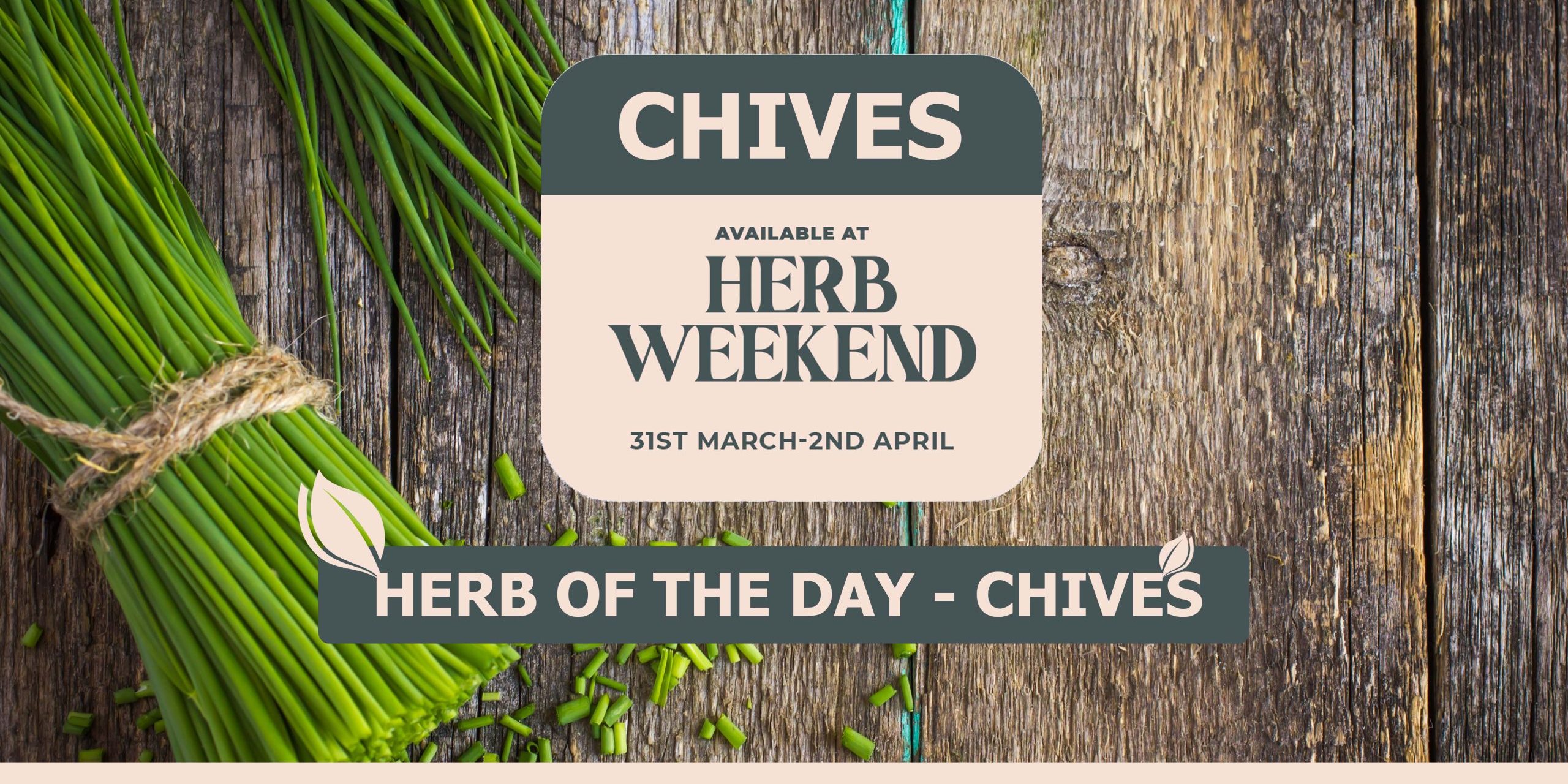 Herb Of The Day Chives Scaled 2560x1280 