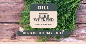 Piscopo Gardens - Herb Weekend 2023 - Herb of the day - Dill