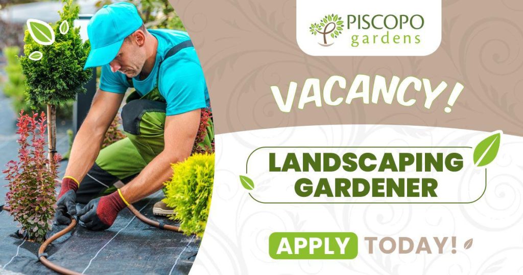 Piscopo Gardens - Landscaper - www.piscopogardens.com