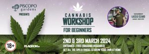Cannabis workshop for beginners by Piscopo Gardens