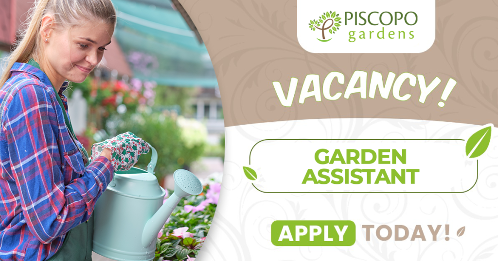 Garden Assistant - Piscopo Gardens - Vacancy - www.piscopogardens.com